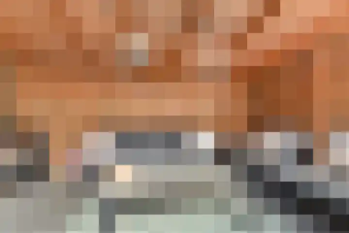 Goudvink 2 Bunschoten-Spakenburg thumbnail 31