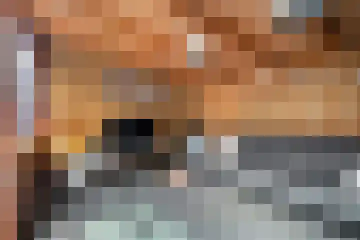 Goudvink 2 Bunschoten-Spakenburg thumbnail 32