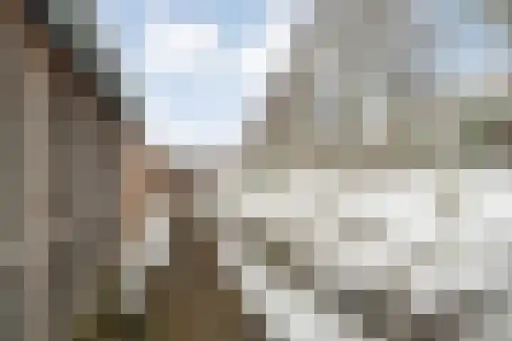 Goudvink 2 Bunschoten-Spakenburg thumbnail 34