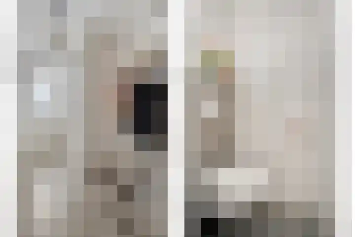 Goudvink 2 Bunschoten-Spakenburg thumbnail 4
