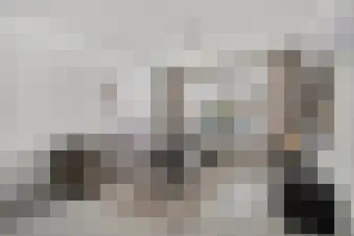 Goudvink 2 Bunschoten-Spakenburg thumbnail 5