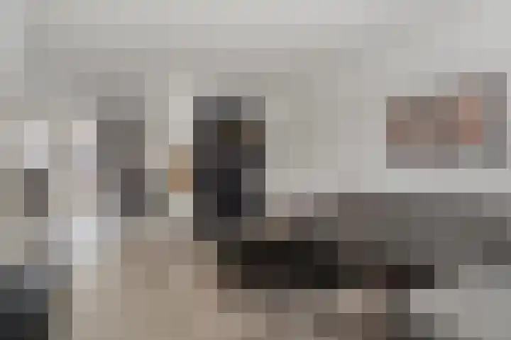 Goudvink 2 Bunschoten-Spakenburg thumbnail 7
