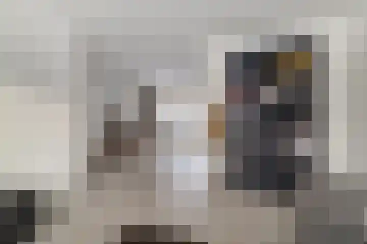 Goudvink 2 Bunschoten-Spakenburg thumbnail 8