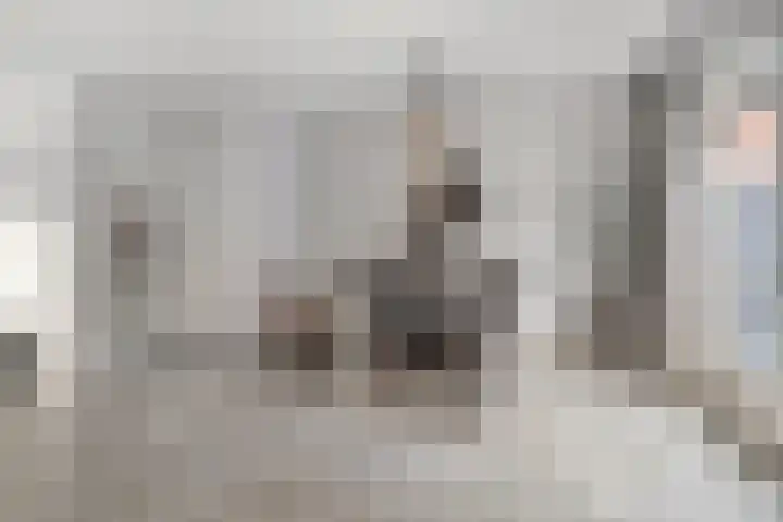 Goudvink 2 Bunschoten-Spakenburg thumbnail 9