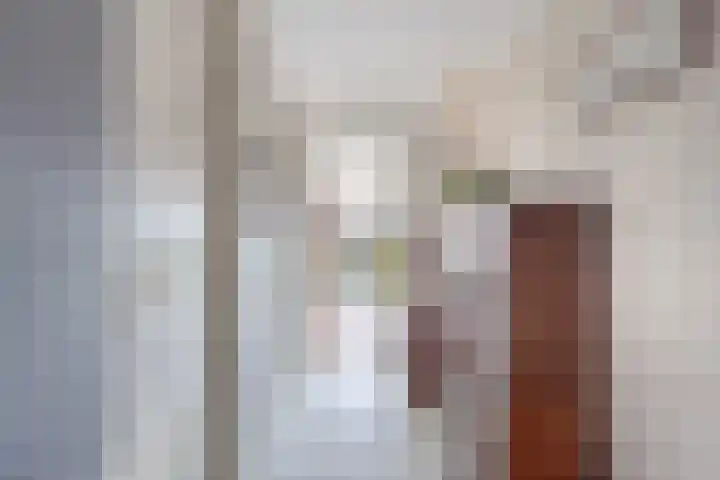 Goudvink 21 Numansdorp thumbnail 10