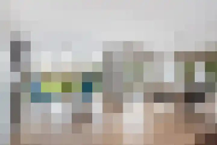 Goudvink 21 Numansdorp thumbnail 11