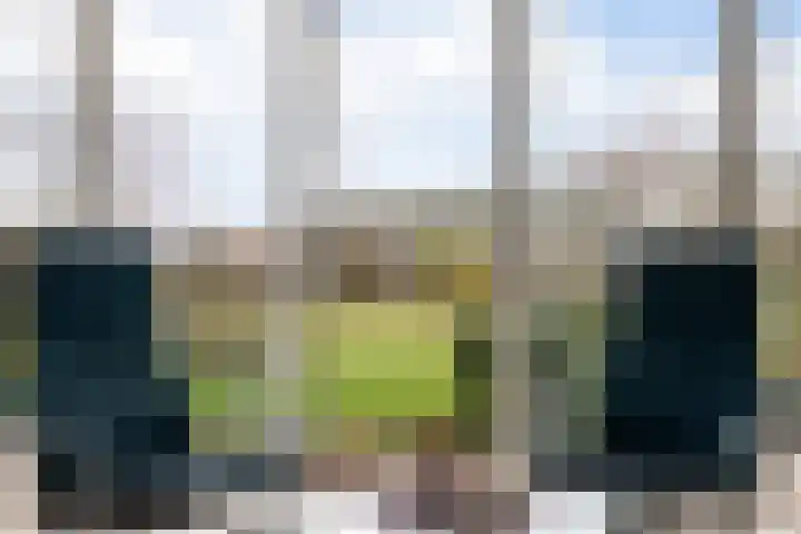 Goudvink 21 Numansdorp thumbnail 12