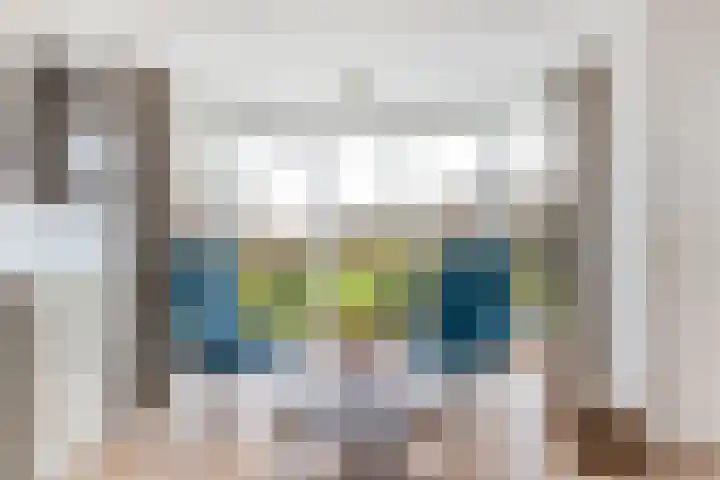 Goudvink 21 Numansdorp thumbnail 13