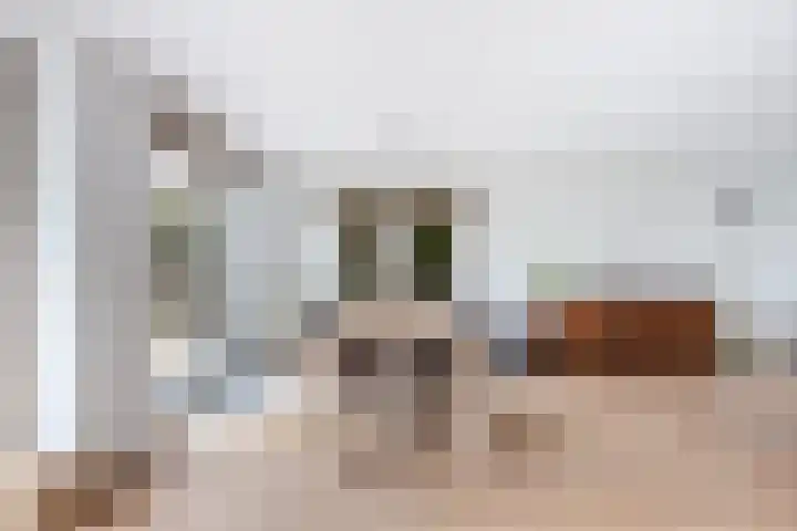 Goudvink 21 Numansdorp thumbnail 14