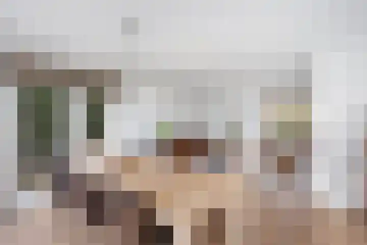 Goudvink 21 Numansdorp thumbnail 16