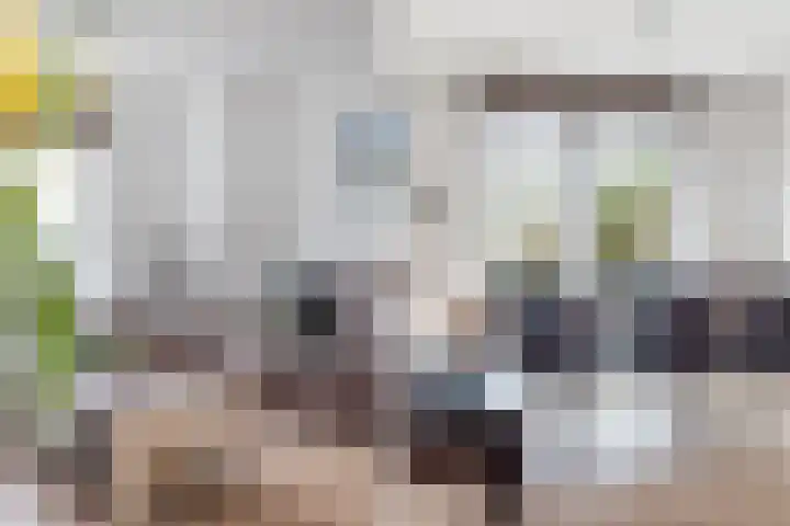 Goudvink 21 Numansdorp thumbnail 18