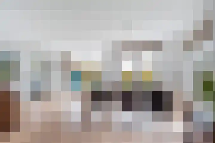 Goudvink 21 Numansdorp thumbnail 20