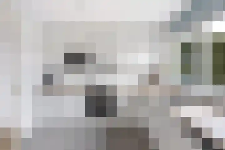 Goudvink 21 Numansdorp thumbnail 21