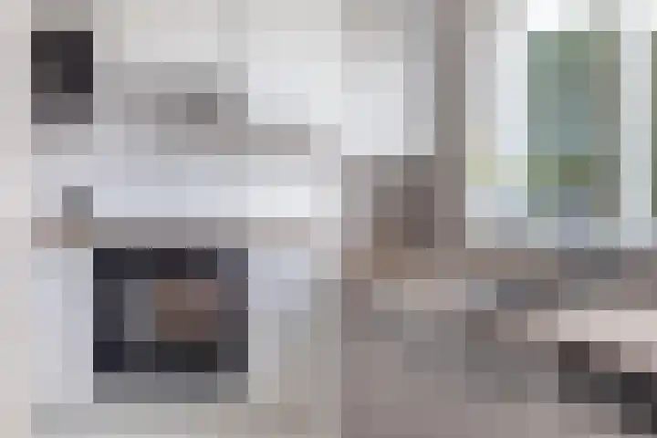 Goudvink 21 Numansdorp thumbnail 22