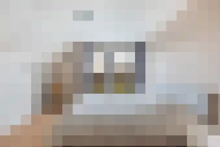 Goudvink 21 Numansdorp thumbnail 26