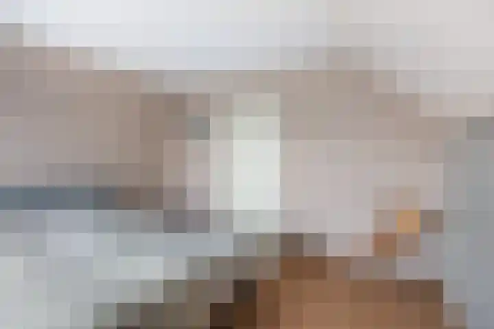 Goudvink 21 Numansdorp thumbnail 27