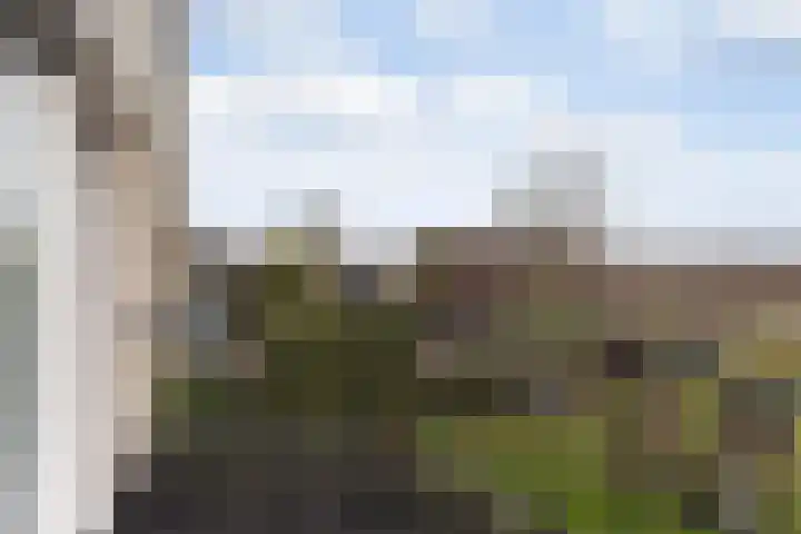 Goudvink 21 Numansdorp thumbnail 28