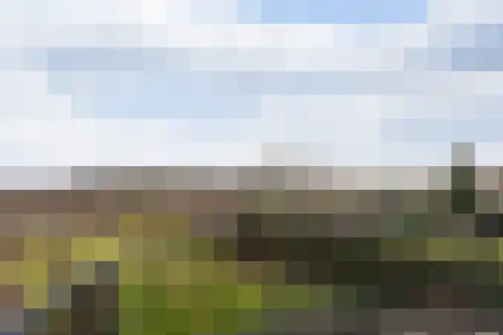 Goudvink 21 Numansdorp thumbnail 29
