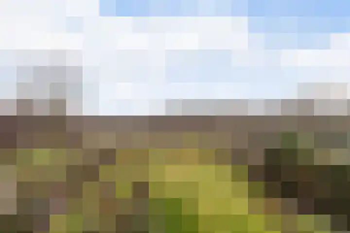 Goudvink 21 Numansdorp thumbnail 30