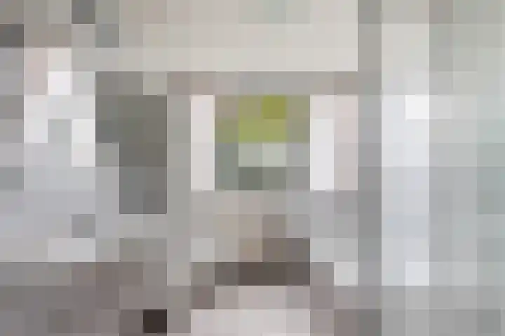 Goudvink 21 Numansdorp thumbnail 36