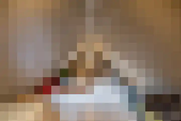 Goudvink 21 Numansdorp thumbnail 38