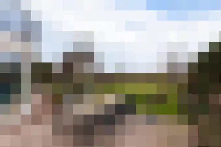 Goudvink 21 Numansdorp thumbnail 39