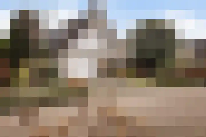 Goudvink 21 Numansdorp thumbnail 4