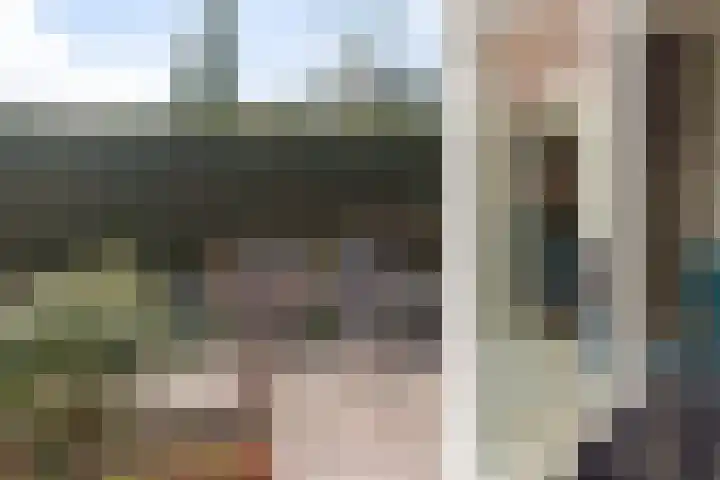 Goudvink 21 Numansdorp thumbnail 40