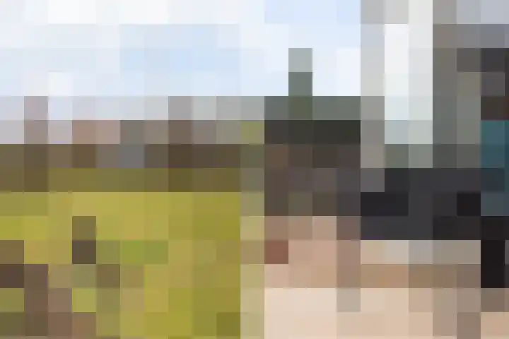 Goudvink 21 Numansdorp thumbnail 41