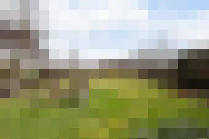 Goudvink 21 Numansdorp thumbnail 42