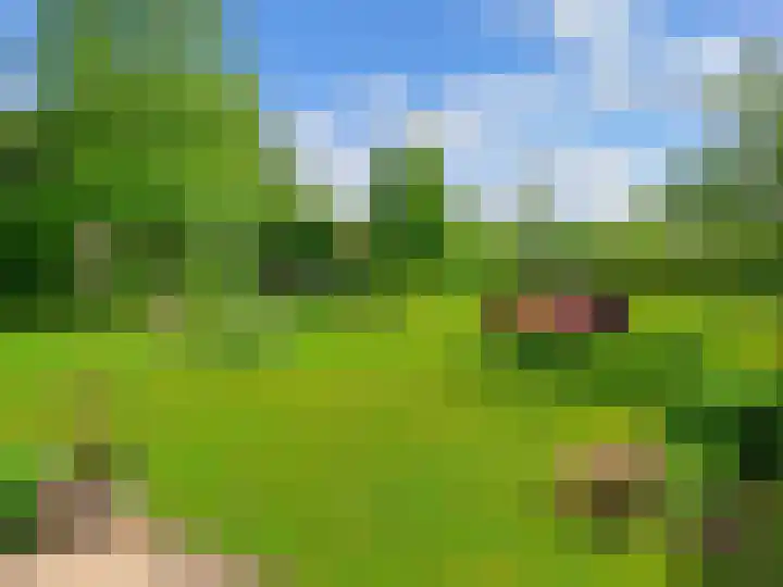 Goudvink 21 Numansdorp thumbnail 43