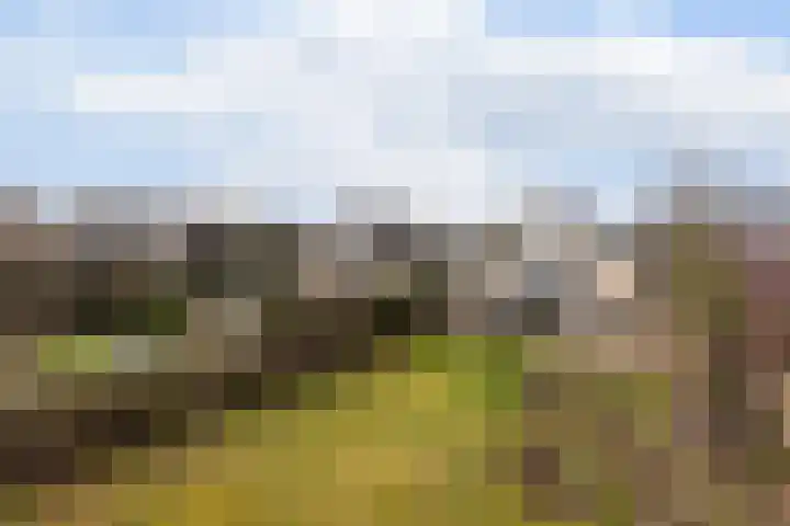 Goudvink 21 Numansdorp thumbnail 45