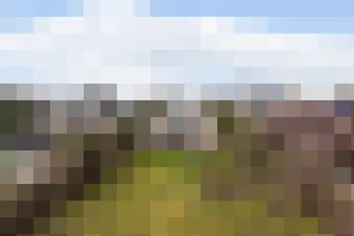 Goudvink 21 Numansdorp thumbnail 46