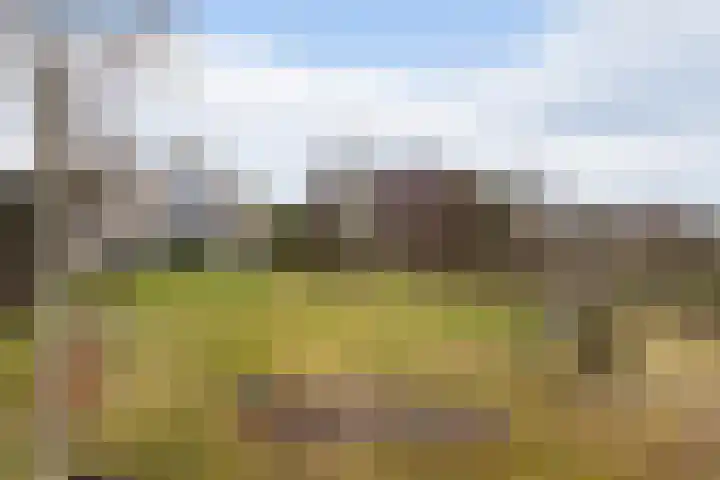 Goudvink 21 Numansdorp thumbnail 47