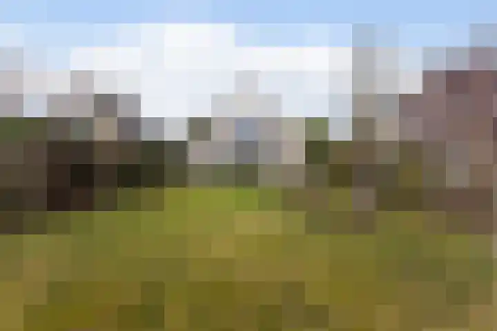 Goudvink 21 Numansdorp thumbnail 48