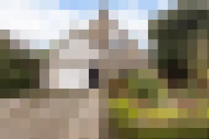 Goudvink 21 Numansdorp thumbnail 5