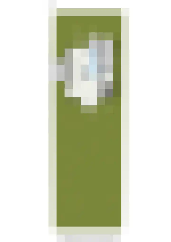 Goudvink 21 Numansdorp thumbnail 53