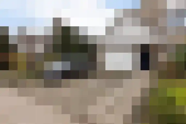 Goudvink 21 Numansdorp thumbnail 7
