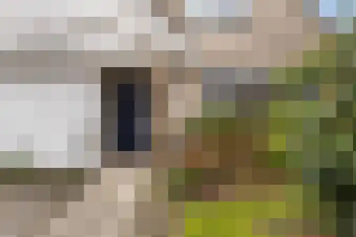 Goudvink 21 Numansdorp thumbnail 8