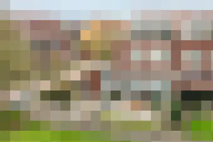 Goudvink 21 Olst