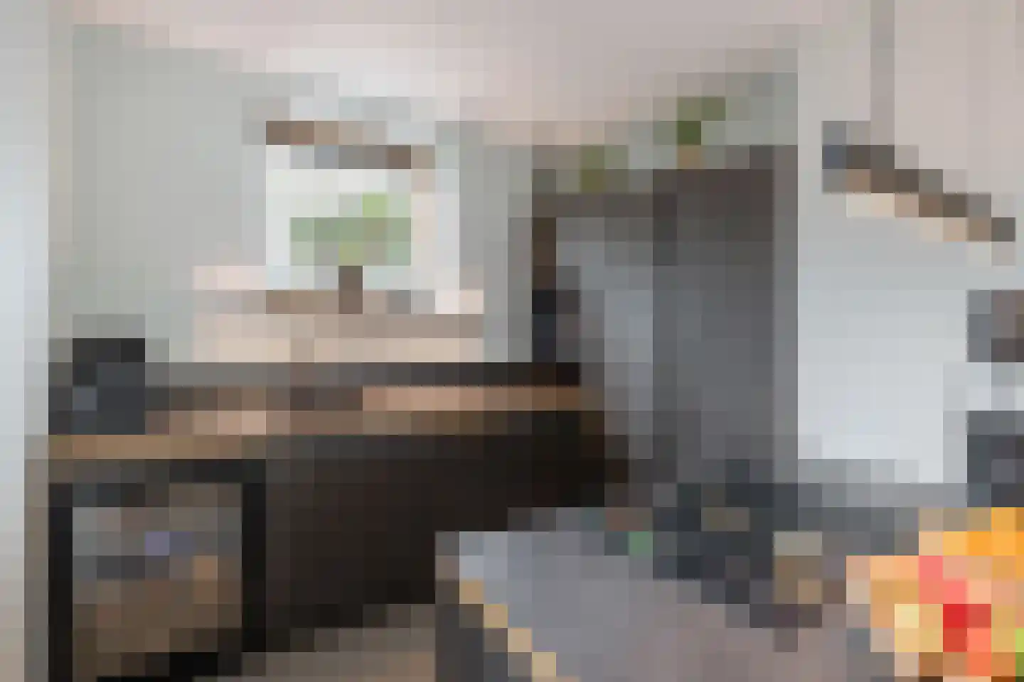 Goudvink 21 Olst thumbnail 13