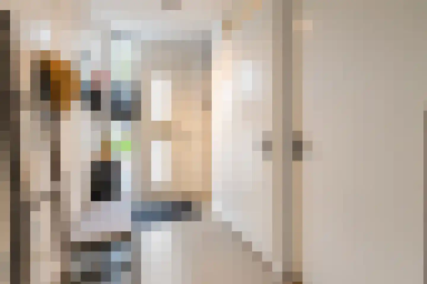 Goudvink 21 Olst thumbnail 17