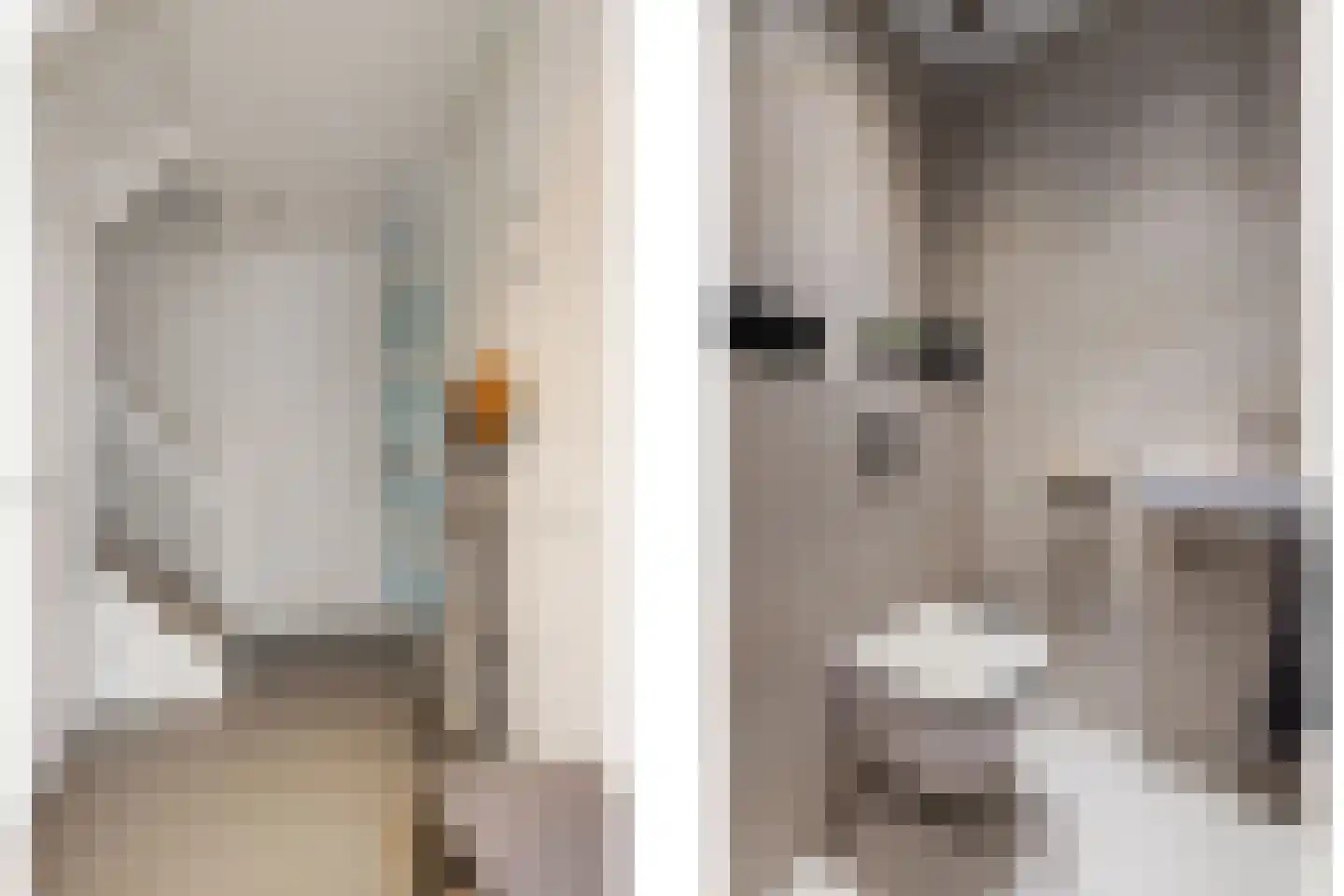 Goudvink 21 Olst thumbnail 18