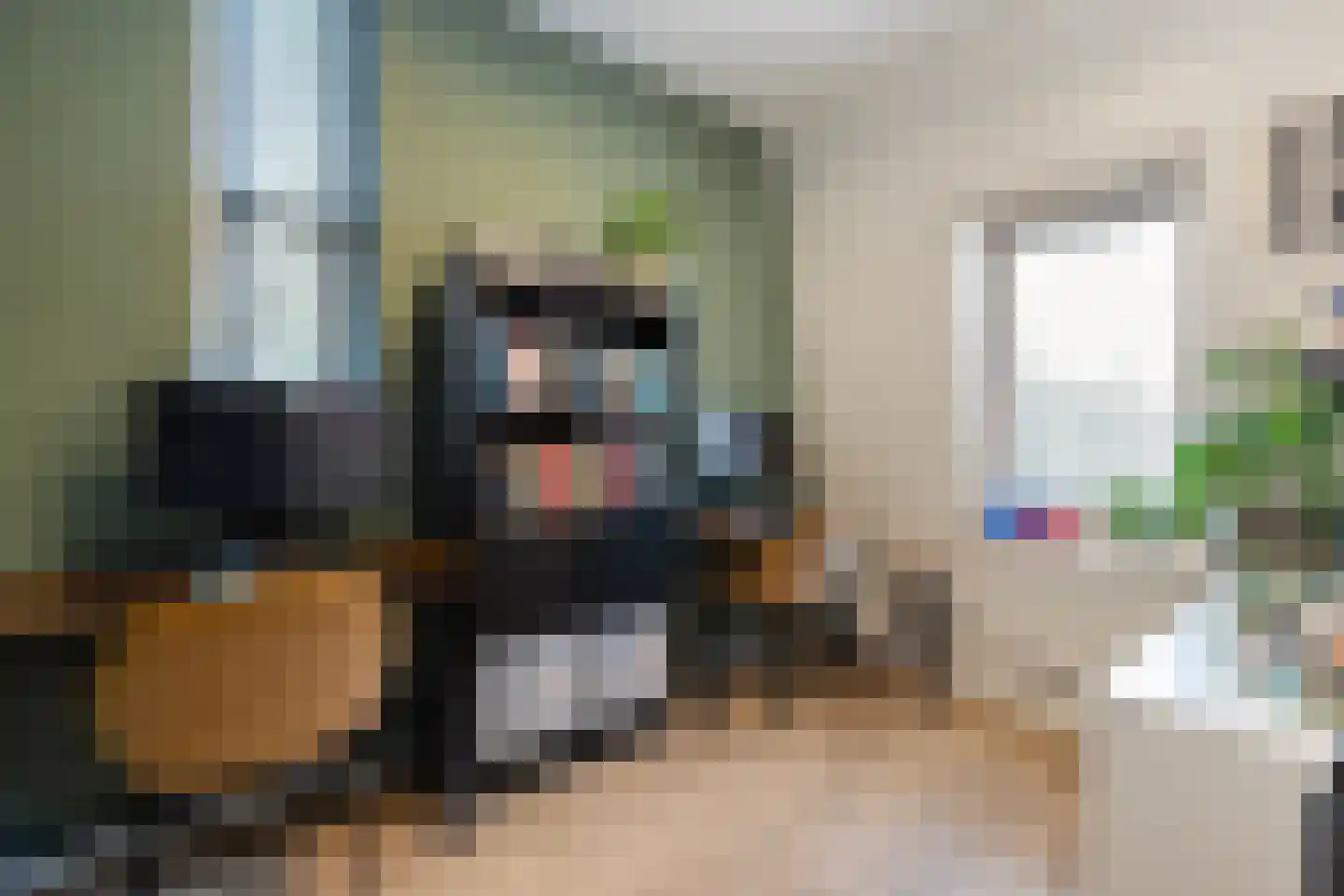 Goudvink 21 Olst thumbnail 23
