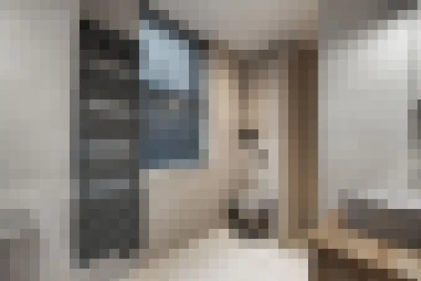 Goudvink 21 Olst thumbnail 26