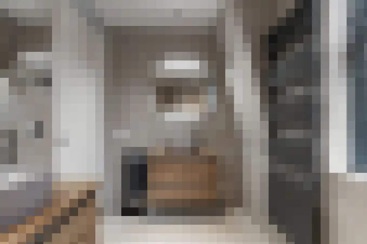 Goudvink 21 Olst thumbnail 27