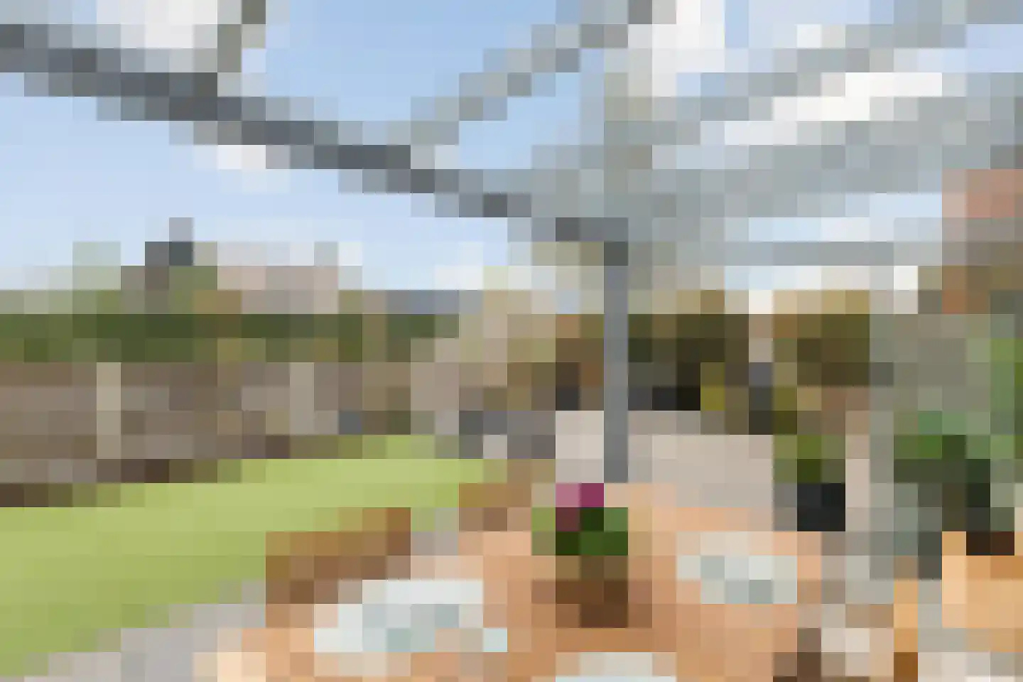 Goudvink 21 Olst thumbnail 38