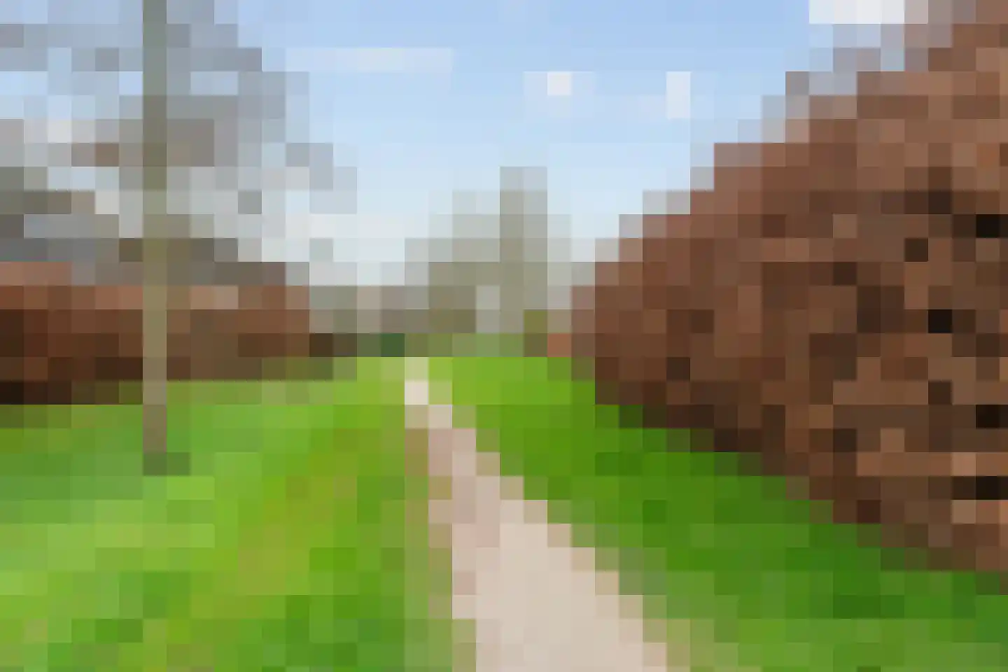 Goudvink 21 Olst thumbnail 42