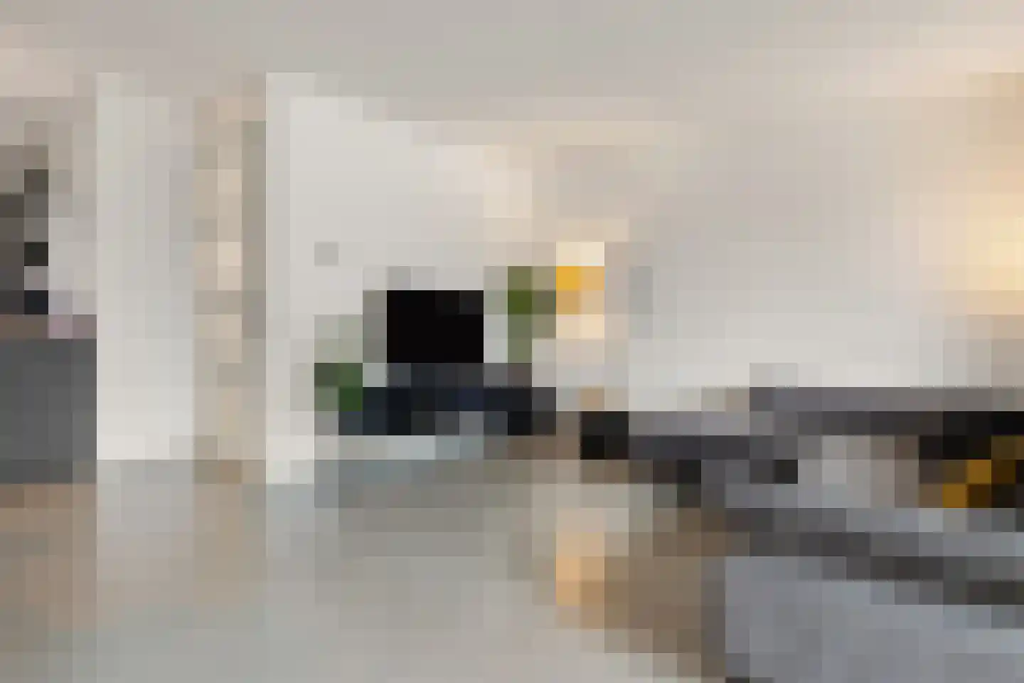 Goudvink 21 Olst thumbnail 8