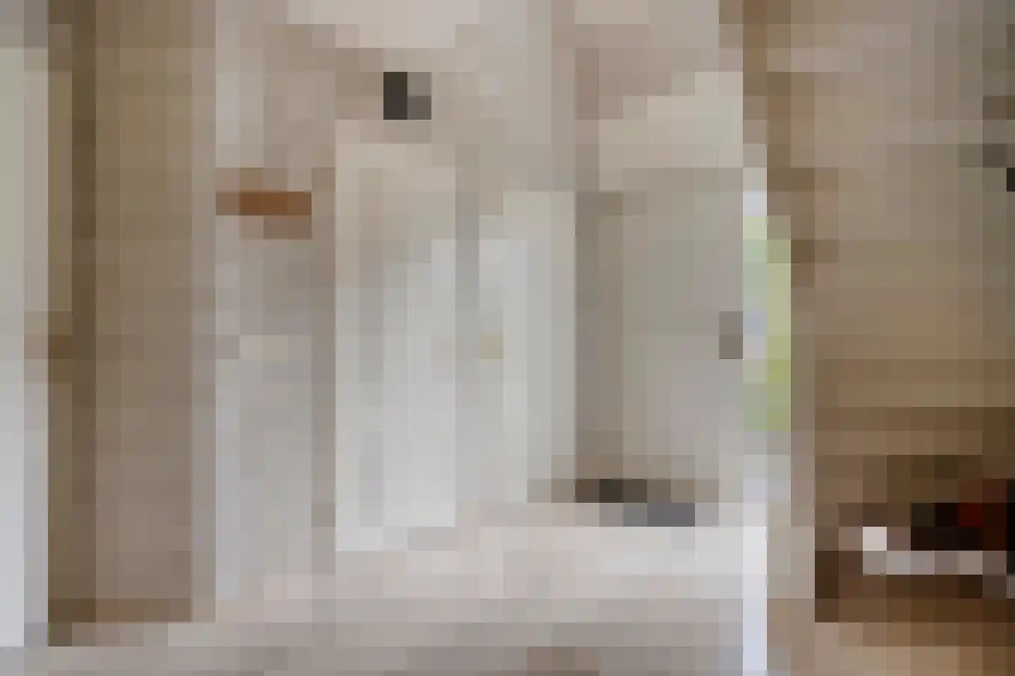 Goudvink 22 Rijssen thumbnail 13